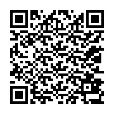 QR-koodi puhelinnumerolle +12013837799