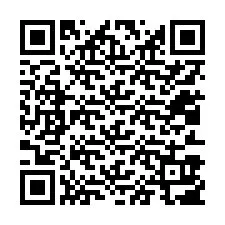 QR-код для номера телефона +12013907013