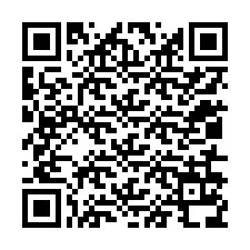 Codice QR per il numero di telefono +12016138484