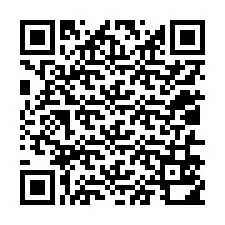 QR Code pour le numéro de téléphone +12016510058