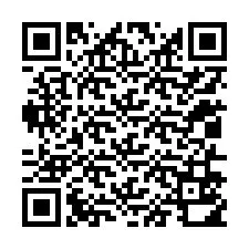 Codice QR per il numero di telefono +12016510060