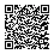 Codice QR per il numero di telefono +12017375300