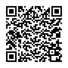 QR-код для номера телефона +12019020300