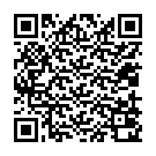 QR kód a telefonszámhoz +12019020303