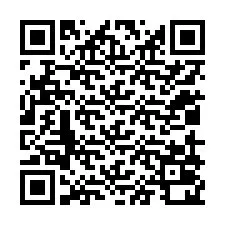 QR kód a telefonszámhoz +12019020304