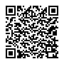 QR-code voor telefoonnummer +12019020695