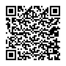 QR Code pour le numéro de téléphone +12019029387