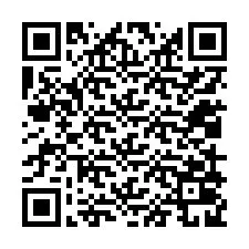 QR Code pour le numéro de téléphone +12019029393