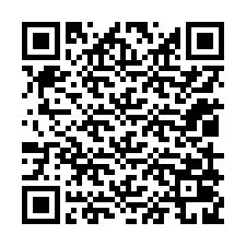 QR kód a telefonszámhoz +12019029395