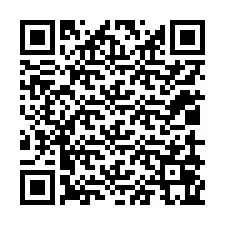 QR-code voor telefoonnummer +12019065141