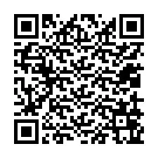 QR-код для номера телефона +12019065517