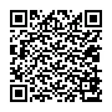 QR-koodi puhelinnumerolle +12019873993