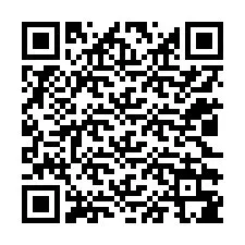 QR-code voor telefoonnummer +12022385424