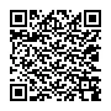 QR код за телефонен номер +12023188498