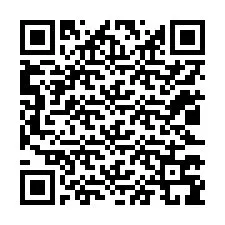 QR kód a telefonszámhoz +12023799091