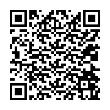 QR-код для номера телефона +12024065703