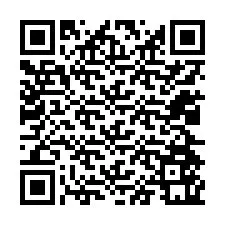 QR-code voor telefoonnummer +12024561367