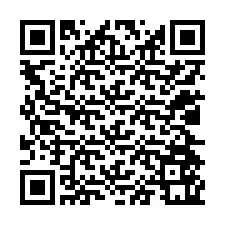 Codice QR per il numero di telefono +12024561368