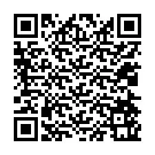 Código QR para número de teléfono +12024561713