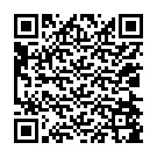 QR kód a telefonszámhoz +12024585308