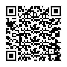 QR kód a telefonszámhoz +12024585310