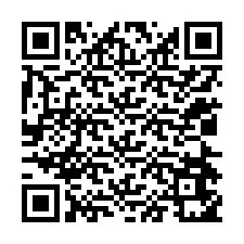 QR kód a telefonszámhoz +12024651304