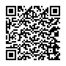 QR-код для номера телефона +12024651860