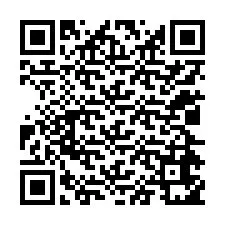 QR-code voor telefoonnummer +12024651864