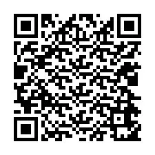 QR Code สำหรับหมายเลขโทรศัพท์ +12024651872