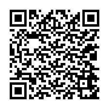 QR Code for Phone number +12024651874