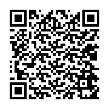 QR Code สำหรับหมายเลขโทรศัพท์ +12024651876