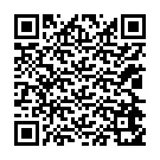 QR kód a telefonszámhoz +12024651921