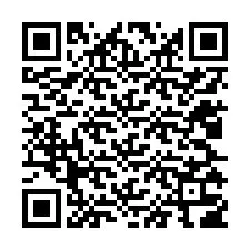 QR Code สำหรับหมายเลขโทรศัพท์ +12025306132