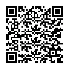 QR-код для номера телефона +12025309468