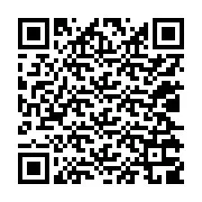 QR-код для номера телефона +12025309878