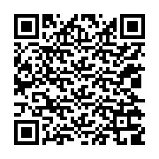 QR-код для номера телефона +12025309890