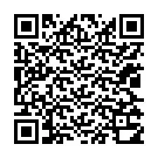 QR-code voor telefoonnummer +12025310125