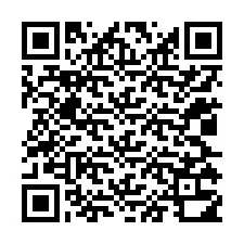 QR-code voor telefoonnummer +12025310130