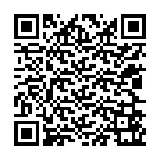 QR-koodi puhelinnumerolle +12026561024