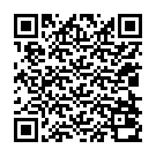 QR-код для номера телефона +12028030304