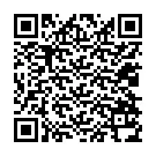 QR Code for Phone number +12028134793