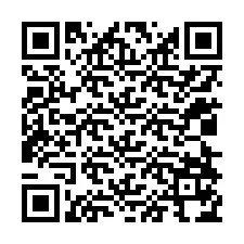 Codice QR per il numero di telefono +12028174300