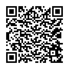 QR-code voor telefoonnummer +12028651789