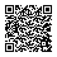 QR-code voor telefoonnummer +12028651798