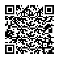 QR-код для номера телефона +12028705081