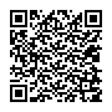 QR-code voor telefoonnummer +12028705083