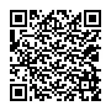 Codice QR per il numero di telefono +12028959529