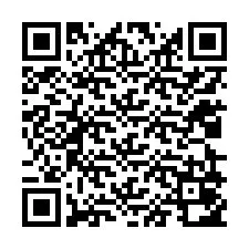 Codice QR per il numero di telefono +12029052202