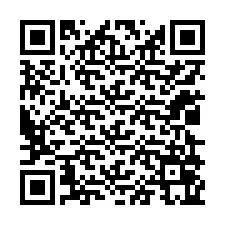 QR-code voor telefoonnummer +12029065655
