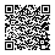 Código QR para número de telefone +12029070419